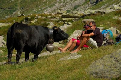 TREK MONTE ROSA