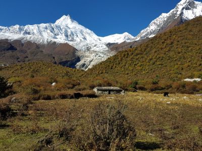 9a) manaslu