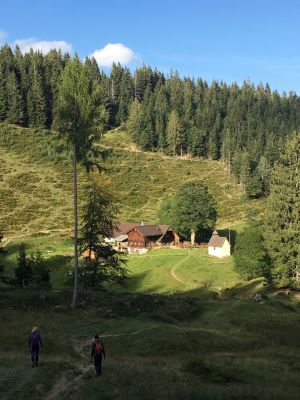 13)  Steiner Alm