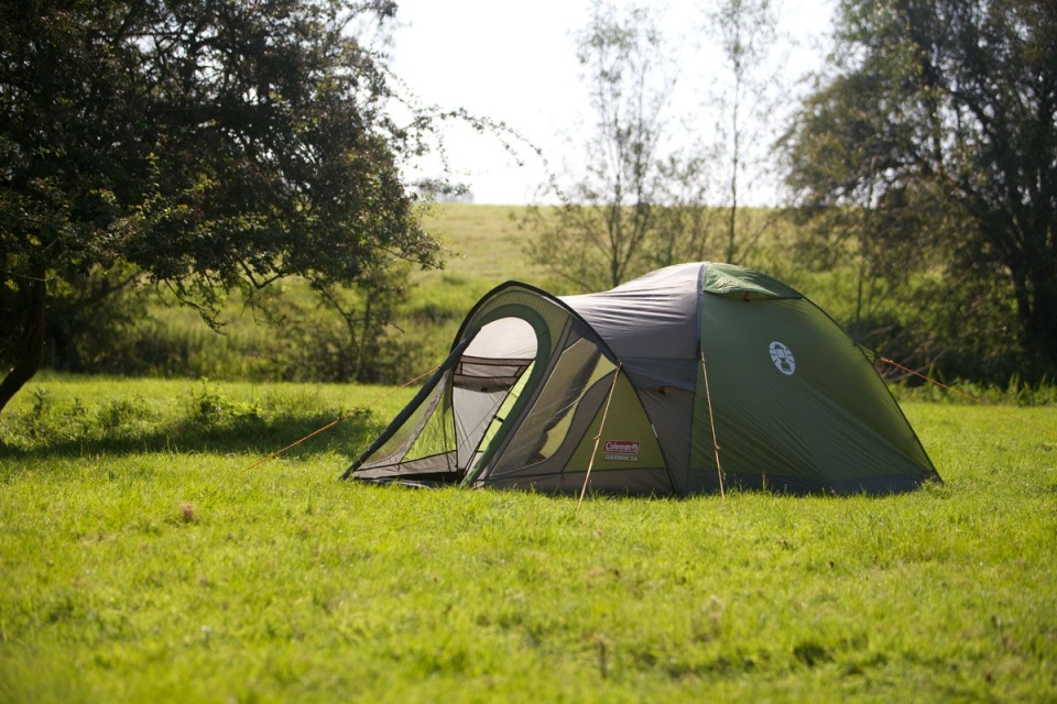 Coleman Darwin 4 plus