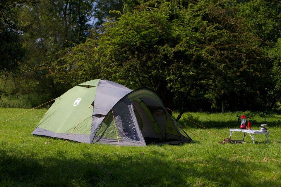 Coleman Darwin 4 plus