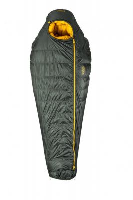 Patizon Dpro 590 L - green/gold