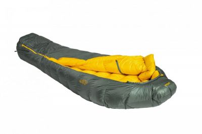 Patizon Dpro 590 L - green/gold
