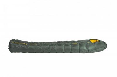 Patizon Dpro 590 L - green/gold
