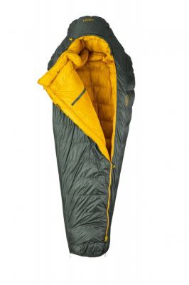 Patizon Dpro 590 L - green/gold