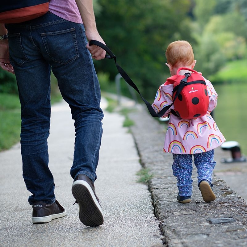 LittleLife Animal Toddler Backpack - ladybird