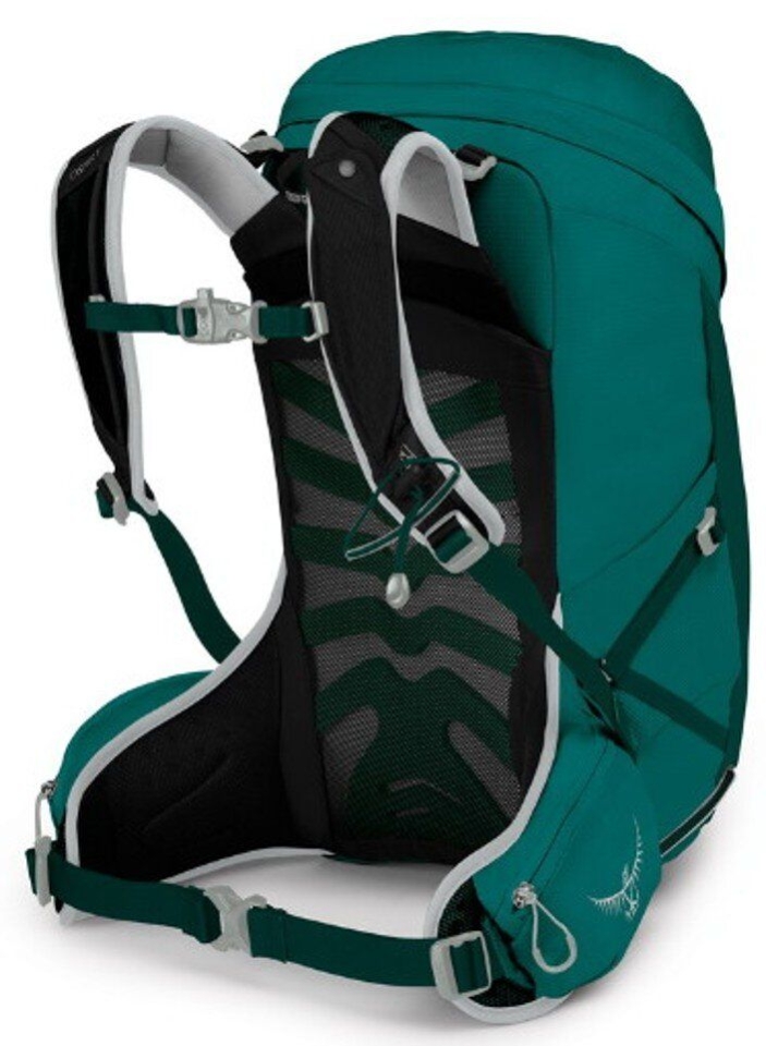 Osprey Tempest 24 III Jasper Green