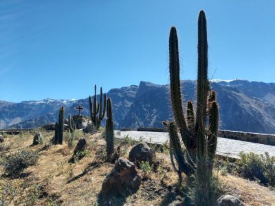 Colca_1.jpg