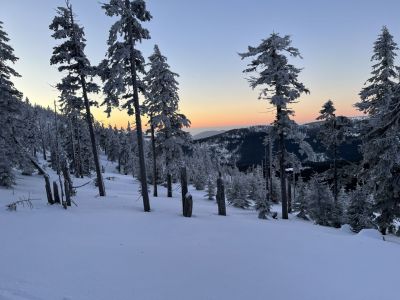 IMG_8598.jpg
