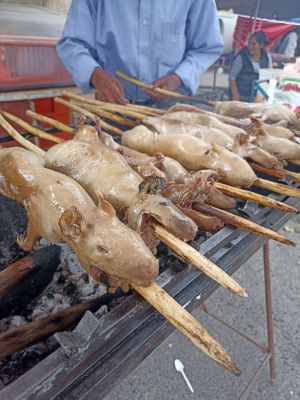 peruánská delikatesa, morče na grillu.jpg