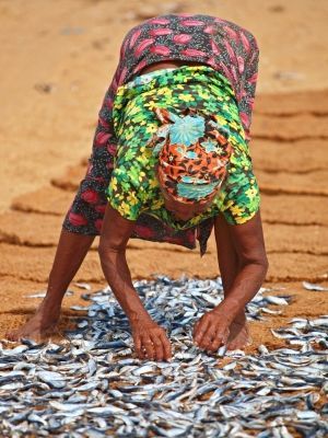 Sri_lanka1.jpg