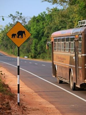 Sri_lanka14.jpg