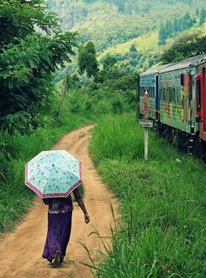Sri_lanka7.jpg