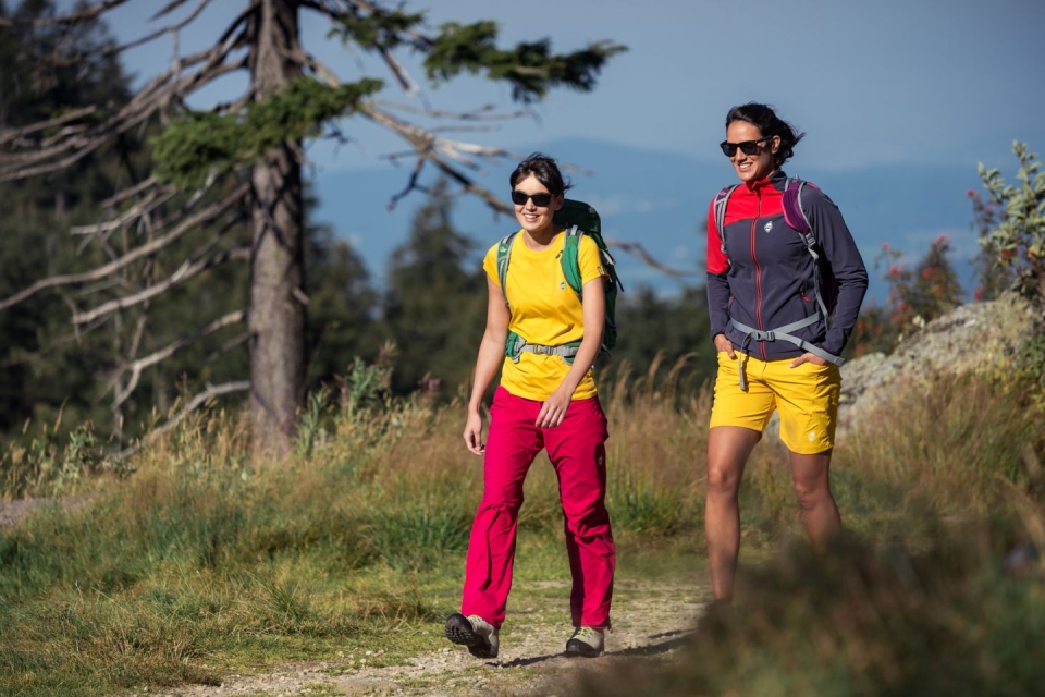 Dash 4.0 Lady Pants cerise 